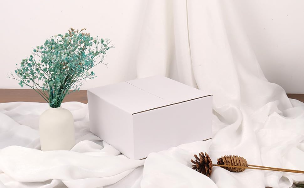 White Shipping Boxes